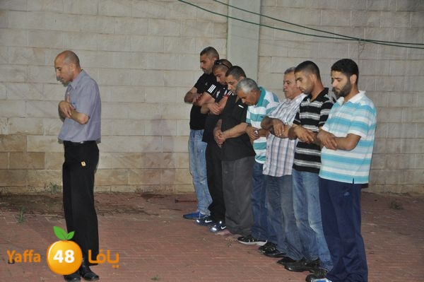 koraludn5478339 (16).JPG